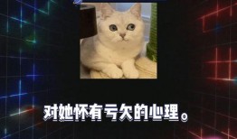 娱乐吃瓜7,吃瓜群众背后的故事